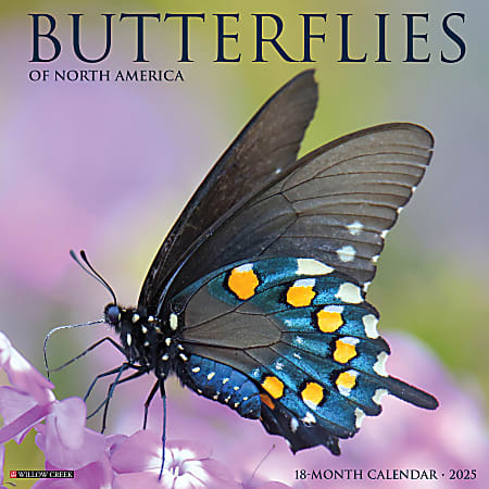 2025 Willow Creek Press Wall Calendar, 12” x 12”, Butterflies, January 2025 To December 2025, 42052