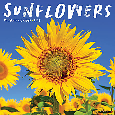 2025 Willow Creek Press Wall Calendar, 12” x 12”, Sunflowers, January 2025 To December 2025, 45039