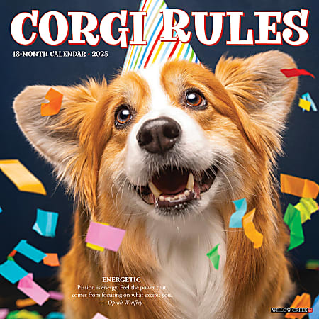 2025 Willow Creek Press Wall Calendar, 12” x 12”, Corgi Rules, January 2025 To December 2025, 42557