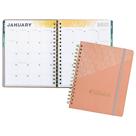 inkWELL Press® AT-A-GLANCE® LiveWELL Planner™, Monthly, 7" x 9", Coral Colorwash, January To December 2017
