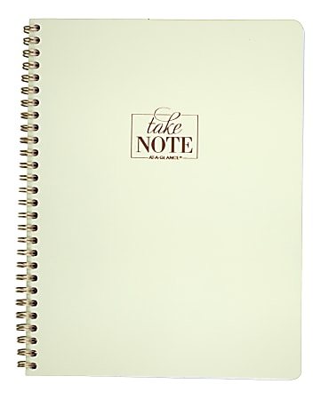 AT-A-GLANCE® WorkStyle™ Take Care Notebook, 7 1/4" x 9 1/2", College Ruled, 160 Pages (80 Sheets), Pistachio