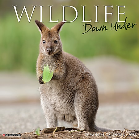 2025 Willow Creek Press Wall Calendar, 12” x 12”, Wildlife Down Under, January 2025 To December 2025, 46289