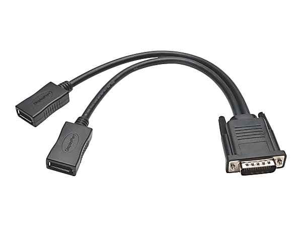 Eaton Tripp Lite Series 1ft DMS-59 to Dual DisplayPort Splitter Y Cable M/Fx2 1' - Video adapter - DisplayPort (F) to DMS-59 (M) - 1 ft - molded - black