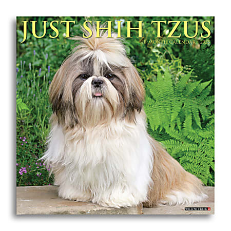 2025 Willow Creek Press Wall Calendar, 12” x 12”, Shih Tzus, January 2025 To December 2025, 44872