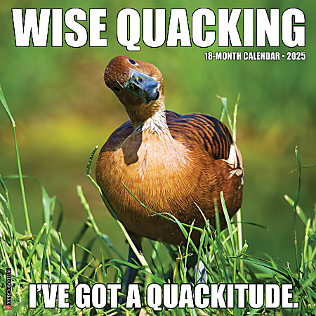 2025 Willow Creek Press Humor & Comics Monthly Wall Calendar, 12” x 12”, Wise Quacking, January To December, 46371