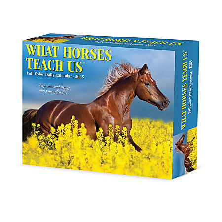2025 Willow Creek Press Daily Desk Box Calendar, 5-1/2” x 6-1/4", What Horses Teach Us, January to December 2025, 41123