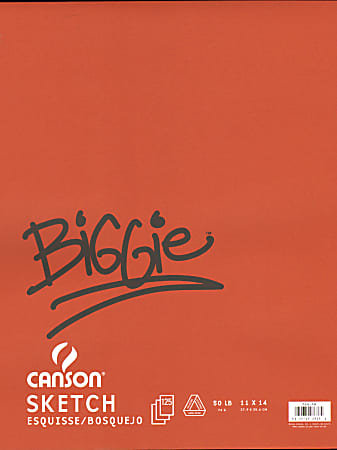 Canson Biggie Sketch Pads, 11" x 14", 120 Sheets, Pack Of 2