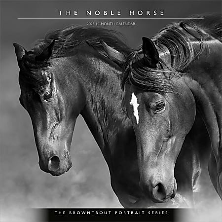 2025 BrownTrout The BrownTrout Portrait Series The Noble Horse Monthly Square Wall Calendar, 12" x 12", Horses, Jan to Dec 2025, 9781975477158