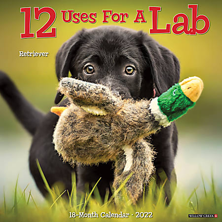 Willow Creek Press Animals Monthly Wall Calendar, 12" x 12", 12 Uses For a Lab, January to December 2022, 16411