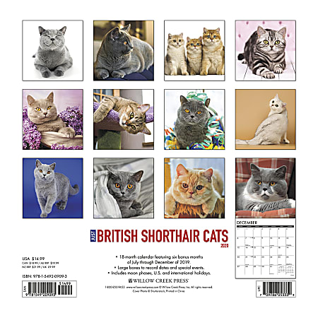 Willow Creek Press Animals Monthly Wall Calendar 12 x 12 British ...