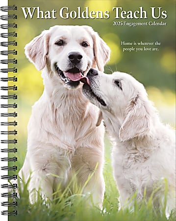 2025 Willow Creek Press Weekly Engagement Planner, 6-1/2" x 8-1/2", What Goldens Teach Us, January 2025 to December 2025, 46197