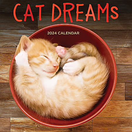 2024 TF Publishing Animal Wall Calendars, 12” x 12”, Cat Dreams, January To December