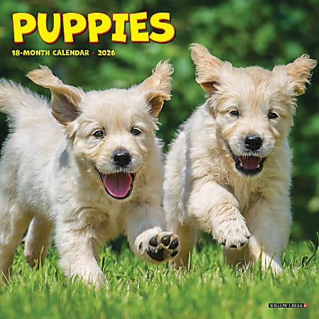 2026 Willow Creek Press Monthly Mini Wall Calendar, 7" x 7", Puppies, January To December, 53737