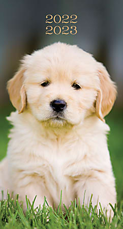 Willow Creek Press 2-Year Monthly Checkbook/Calendar, 3-1/2" x 6-1/2", Puppy, January 2022 To December 2023