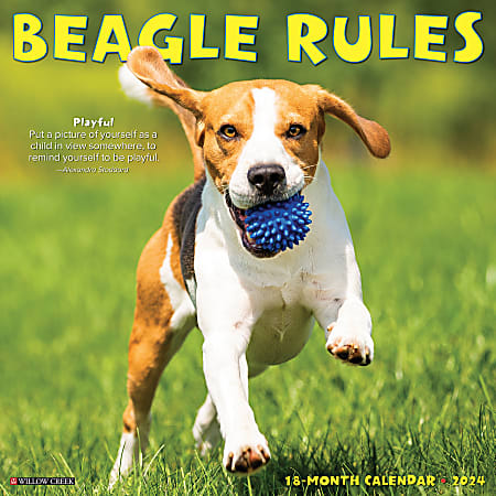 2024 Willow Creek Press Animals Monthly Wall Calendar, 12" x 12", Beagle Rules, January To December