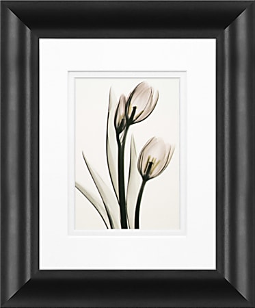 Timeless Frames Marren Framed Floral Artwork, 8" x 10", Black, Pink Tulips