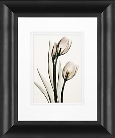 Timeless Frames Marren Framed Floral Artwork, 8" x