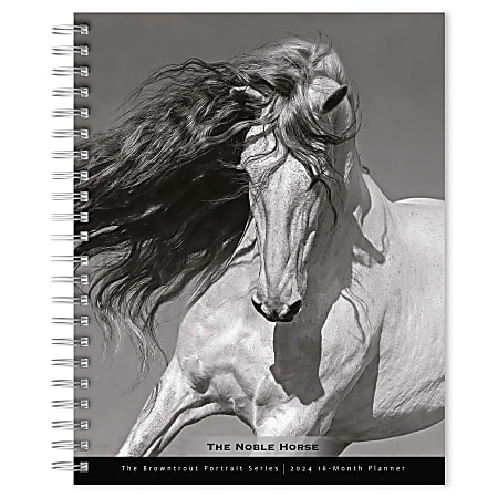 2023-2024 BrownTrout 16-Month Weekly/Monthly Engagement Planner, 7-3/4" x 7-3/16", The BrownTrout Portrait Series: The Noble Horse, September To December