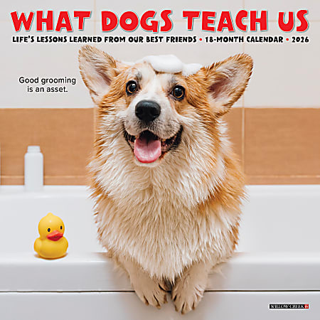 2026 Willow Creek Press Monthly Mini Wall Calendar, 7" x 7", What Dogs Teach Us, January To December, 53836