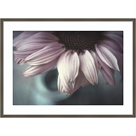 Amanti Art Meet Me Halfway (Flower) by Corinna van der Wood Framed Wall Art Print, 41”W x 30”H, Gray