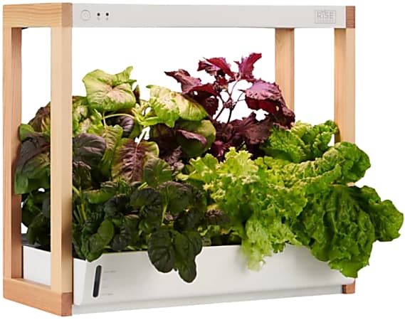 RISE GARDENS Personal Rise Garden Hydroponic System, 16”