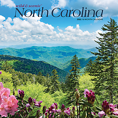 Brown Trout Monthly Regional Wall Calendar, 24" x 12", Wild & Scenic North Carolina, January to December 2022, 9781975439347