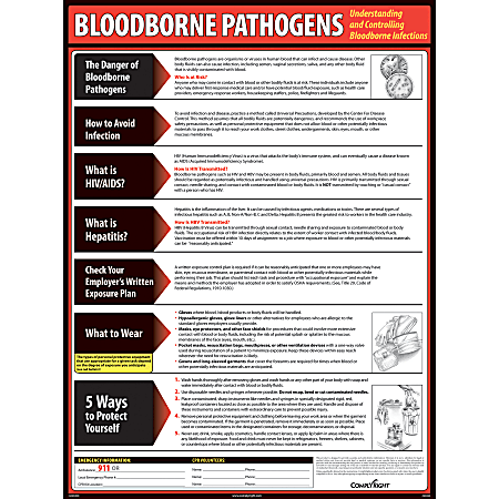 ComplyRight™ Bloodborne Pathogens Poster, 18" x 24"