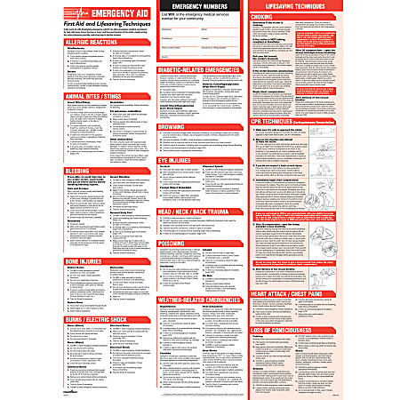 ComplyRight™ Emergency Aid Poster, Spanish, 20" x 12"