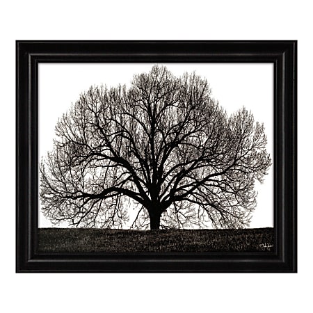 Timeless Frames® The Tree Framed Art, 20"H x 16"W