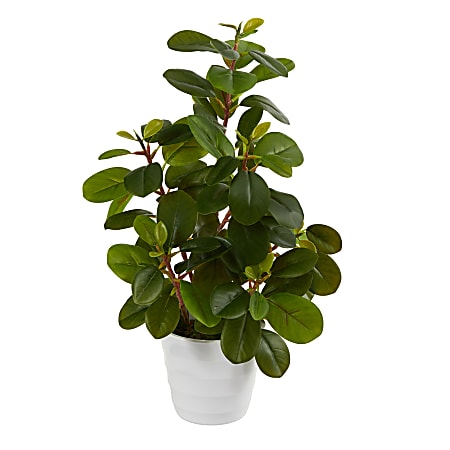 Nearly Natural Peperomia 16”H Artificial Plant With Decorative Planter, 16”H x 6”W x 6”D, Green/White
