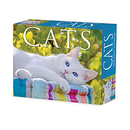 2026 Willow Creek Press Page-A-Day Daily Desk Calendar, 6-1/4" x 5-1/2", Cats, January To December, 54048