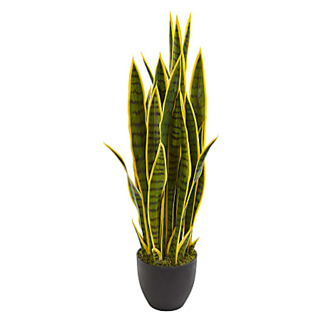 Nearly Natural 33"H Sansevieria Artificial Plant, 33"H x 8"W x 8"D, Black/Green