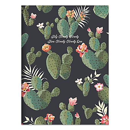 TF Publishing Medium Academic Monthly Planner, 7-1/2” x 10-1/4”, Cacti Colors, July 2020 To June 2021