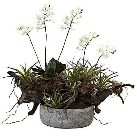 Nearly Natural Orchid & Succulent 20”H Plastic Floral Garden With Driftwood & Decorative Vase, 20”H x 22”W x 16”D, White/Green