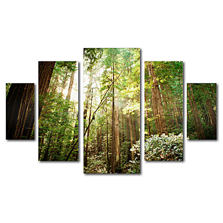 Trademark Global Muir Woods Multi-Panel Gallery-Wrapped Canvas Print By Ariane Moshayedi, 39 5/8"H x 57 5/8"W