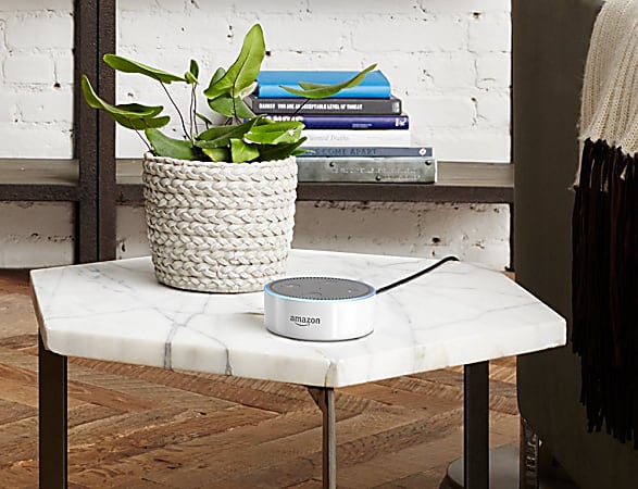 Echo dot hot sale office depot