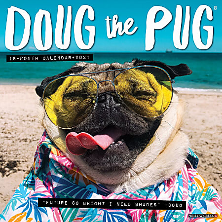 Willow Creek Press Animal Monthly Wall Calendar, 12" x 12", Doug The Pug, January To December 2021