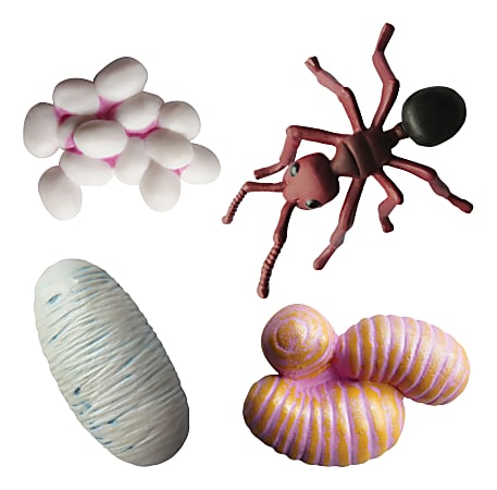 Insect Lore 4-Piece Ant Life Cycle Stages Figure Set, Brown, Pre-K to 5th Grade