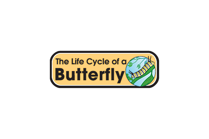 Carson Dellosa Bulletin Board Set Life Cycles - ODP Business Solutions