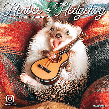 Willow Creek Press Animals Monthly Wall Calendar, Herbee The Hedgehog, 12" x 12", January To December 2021