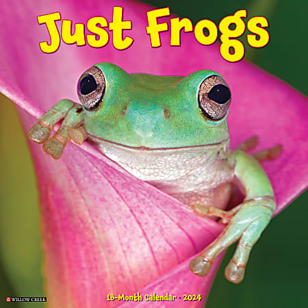 2024 Willow Creek Press Animals Monthly Wall Calendar, 12" x 12", Just Frogs, January To December