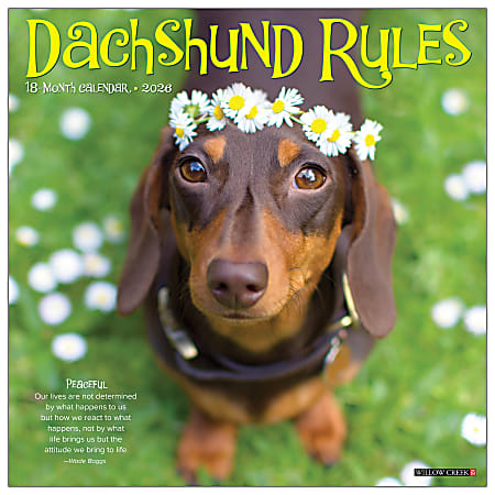 2026 Willow Creek Press Animals Monthly Wall Calendar, 12" x 12", Dachshund Rules, January To December, 50934