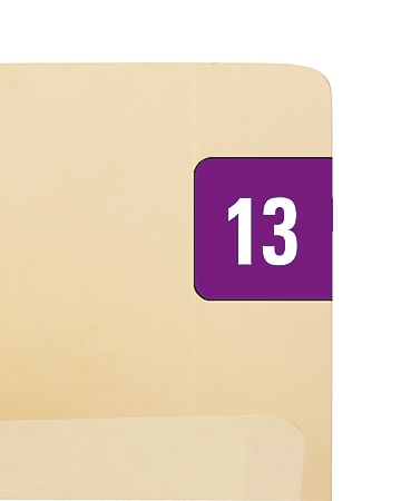 Smead® Permanent Color-Coding Yearly Labels, 2013, 1" x 1/2", Purple, Pack Of 250