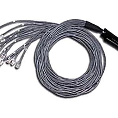 C2G 5ft Cat5 25-pair Telco Breakout Cable 90° Telco50 M/12-RJ45