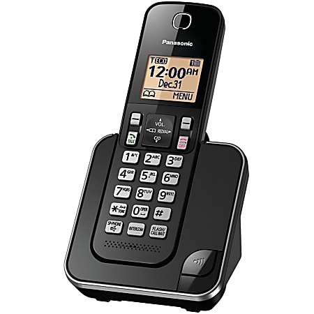 Panasonic DECT 6.0 Expandable Cordless Phone 1 Handset KX TGC350B - Office  Depot