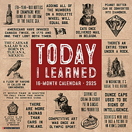 2025 Willow Creek Press Humor & Comics Monthly Wall Calendar, 12” x 12”, Today I Learned, January To December, 45121