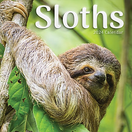 2024 TF Publishing Animal Monthly Wall Calendar, 12” x 12”, Sloths, January To December