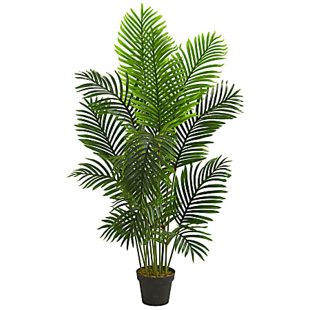 Nearly Natural Paradise Palm 60”H Artificial Tree With Pot, 60”H x 16”W x 16”D, Green