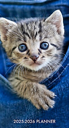 2025 Willow Creek Press 2-Year Monthly Checkbook/Calendar, 3-1/2” x 6-1/2, Cute As A Kitten, January 2025 To December 2026, 46944