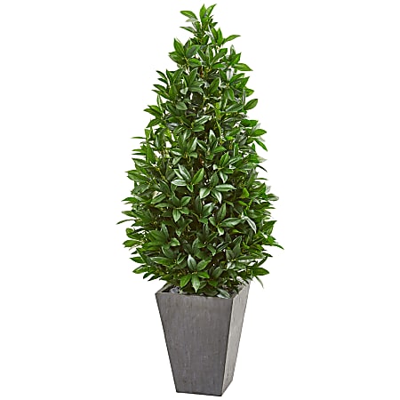 Nearly Natural 57"H Bay Leaf Cone Topiary Tree With UV-Resistant Planter, Green/Slate